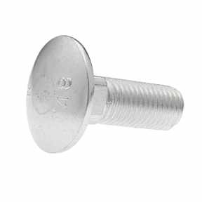 Wood Half Round Head Screws - Inox