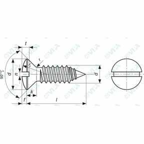 DIN 7973, ISO 1483, UNI 6953 tornillos autorroscantes cac con ranura