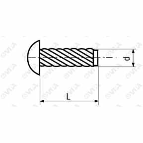 UNI 7346 Round head tapping rivets