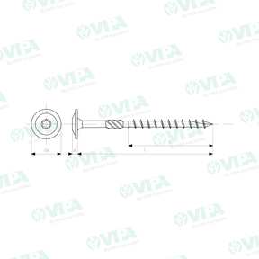  Screws for carpentry with half round, truss with hexalobular TX socket