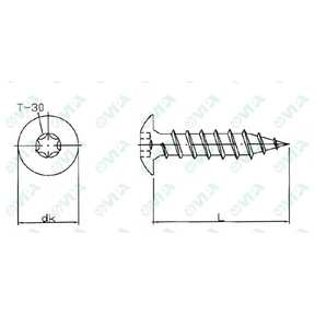  Tornillo para fijar las cintas y bisagras de cabeza redondeada hexalobular (TX) de rosca completa