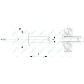  Rivetti standard a testa extra larga