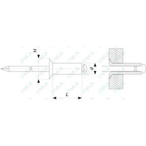  Rivetti standard testa svasata piana