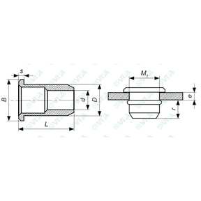  Steel cylindrical head rivet nuts FTT