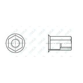  Steel reduced head blind rivet nuts with hexagonal shank ERC