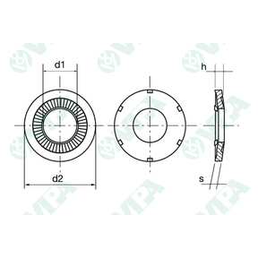  Conical elastic toothed contact washers